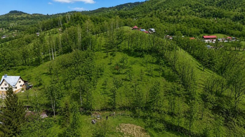 Prahova, oportunitate investitie teren la munte, 3.485 mp view spectaculos